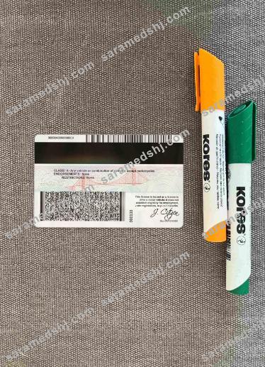 USA California driving license under 21 photolook BACK